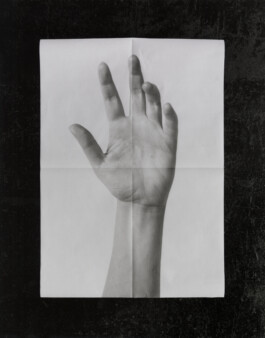 Norman Wilcox-Geissen