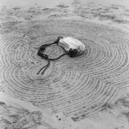 Norman Wilcox-Geissen