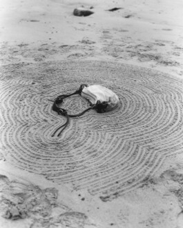 Norman Wilcox-Geissen